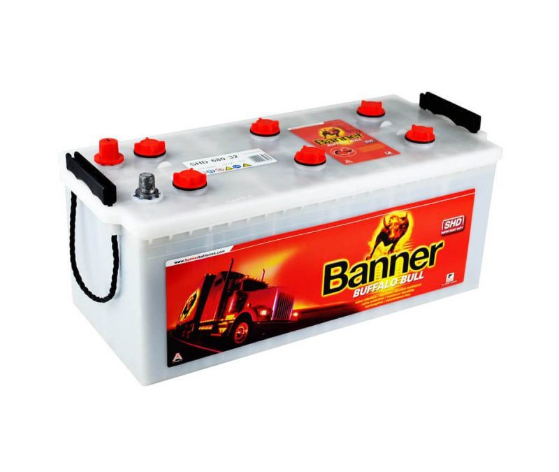 Banner Buffalo Bull SHD