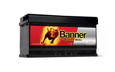 Batterie Banner Power Bull