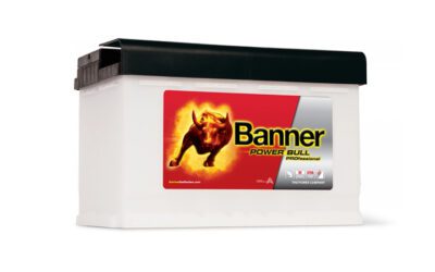 Batterie Banner Power Bull Pro