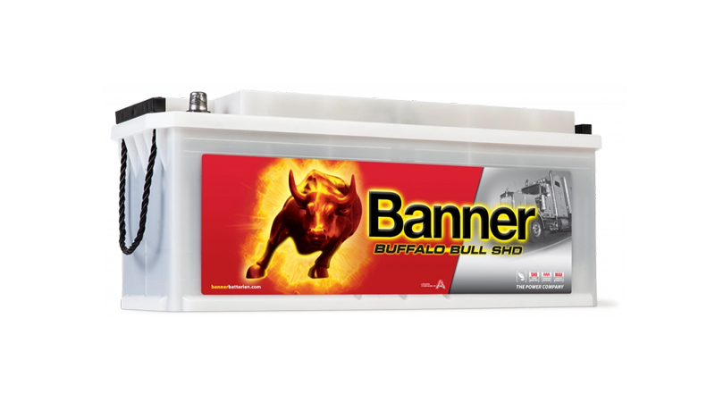 Batterie Banner Buffalo Bull SHD